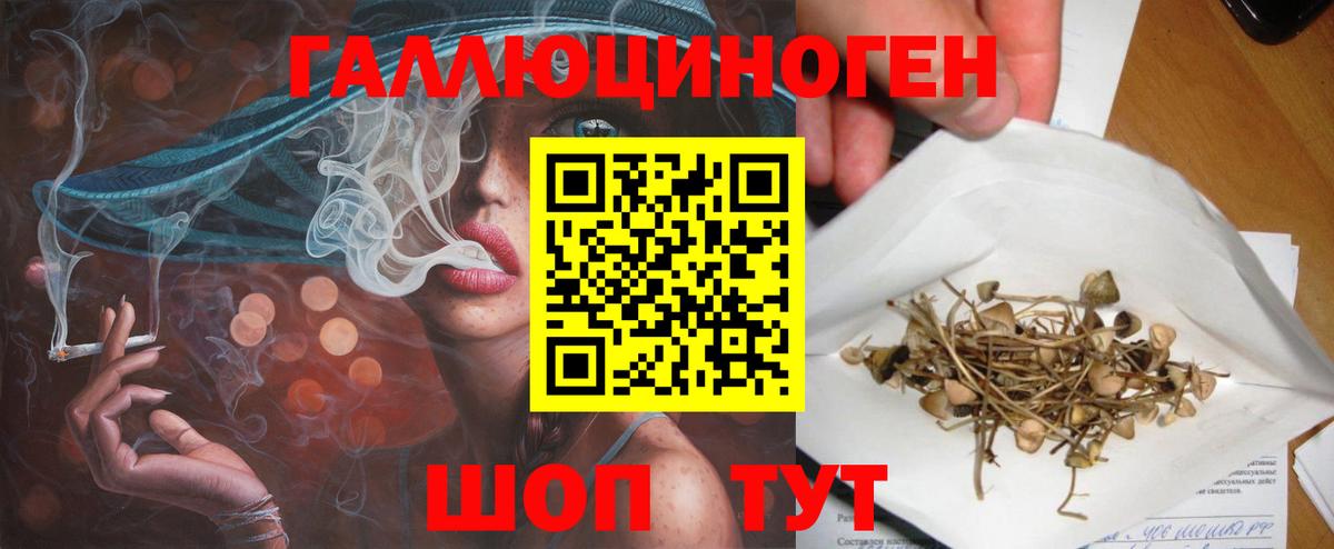 Галлюциногенные грибы прущие грибы Тольятти