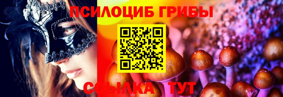 где можно купить   Вход с VPN  Тольятти  Псилоцибиновые грибы мицелий 